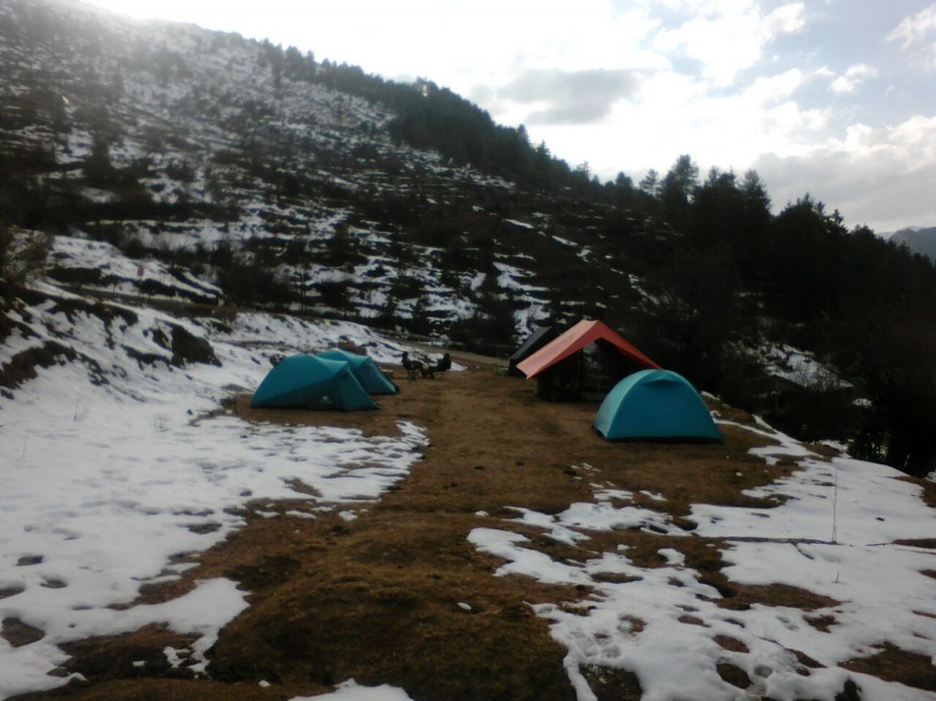 best peasant places for camping in winter in auli