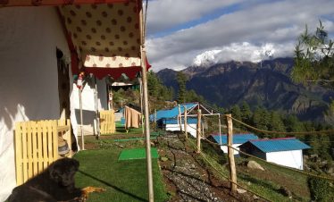 auli camps camping in auli packages