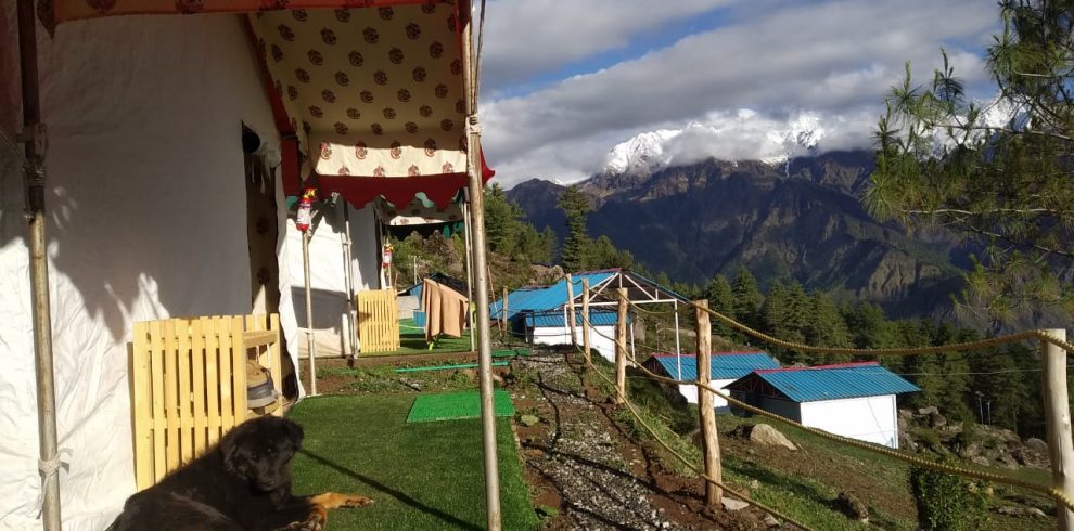 auli camps camping in auli packages