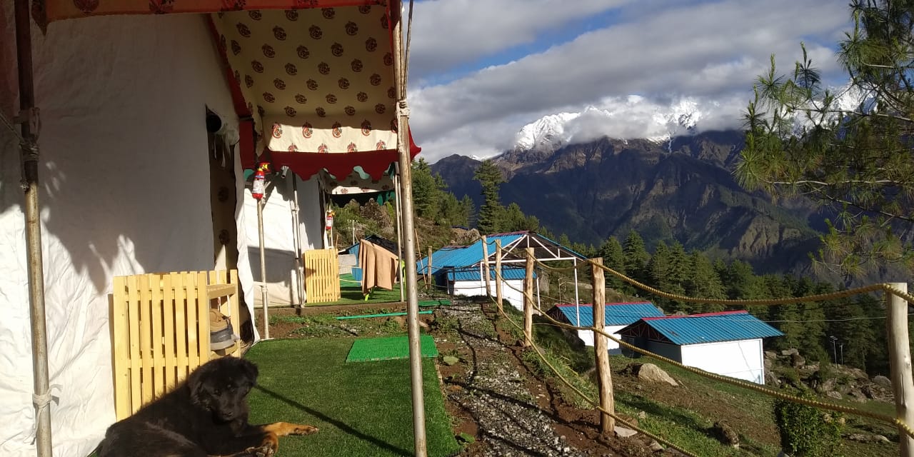 auli camps camping in auli packages