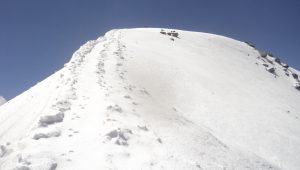 pangarchulla peak trek 4575meter