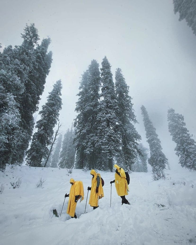 kedarkantha winter trek